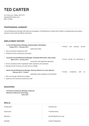 aircraft maintenance manager