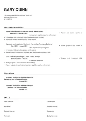 aml investigator