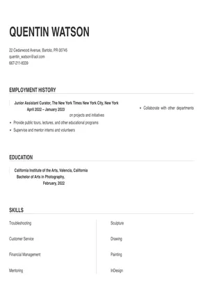 Assistant Curator Resume Sample & Tips | Online Resume Builder