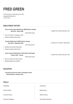 assistant media buyer