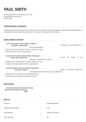 ax developer