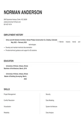 bi solution architect