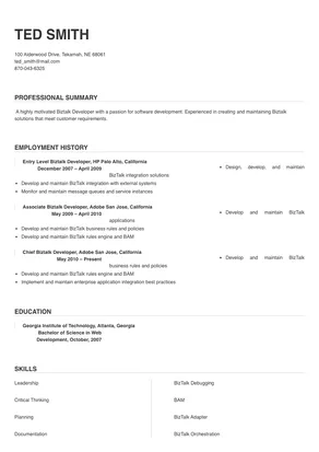 biztalk developer
