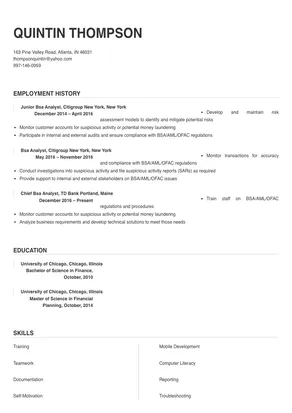 Bsa Analyst Resume Sample & Tips | Online Resume Builder