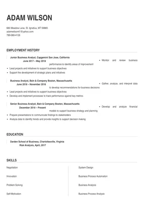 business analyst