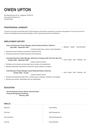 business project manager