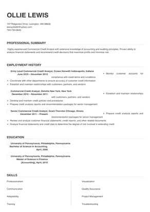 commercial credit analyst