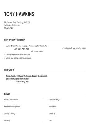 crystal reports developer