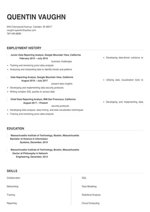 data reporting analyst