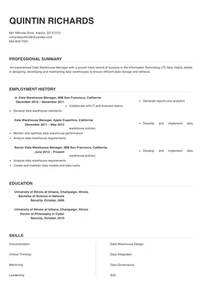 data warehouse manager