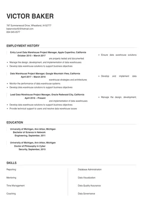 data warehouse project manager