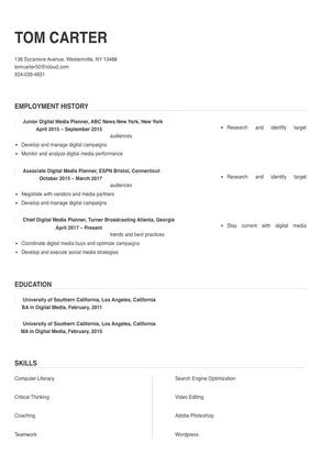 digital media planner