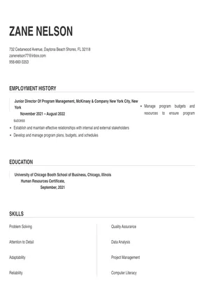 director of program management
