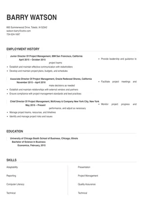 director of project management