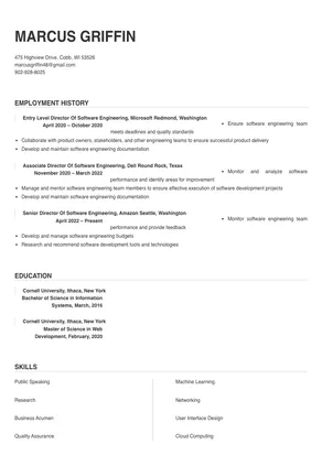 director of software engineering