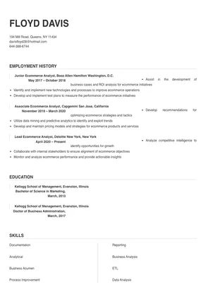 ecommerce analyst