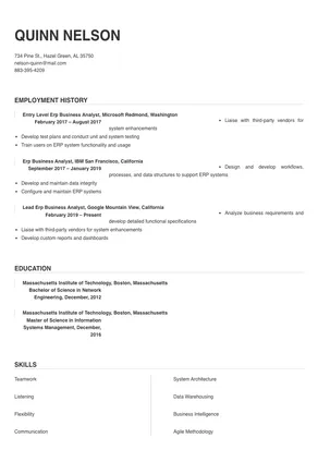 erp business analyst