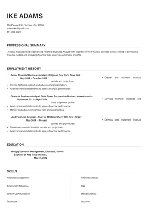 financial business analyst