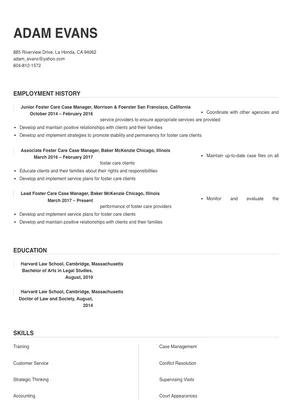 foster care case manager