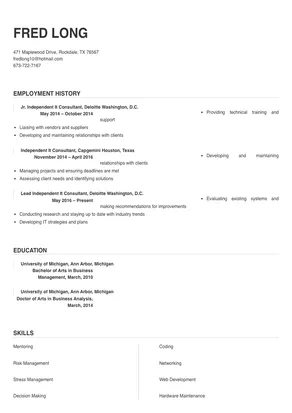 independent it consultant