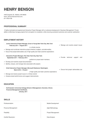 interactive project manager