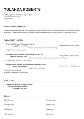 it account manager