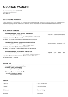 it audit manager