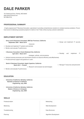 it business consultant