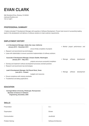 it development manager