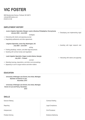litigation specialist