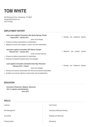 logistics consultant