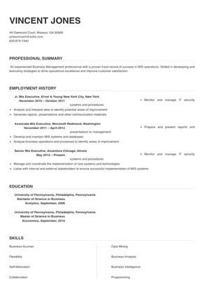 Mis Executive Resume Sample & Tips | Online Resume Builder