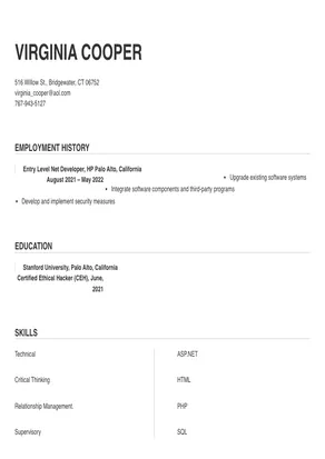 net developer