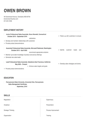 professional sales associate