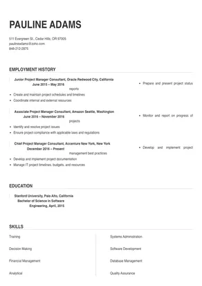 project manager consultant