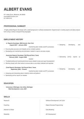 reports developer