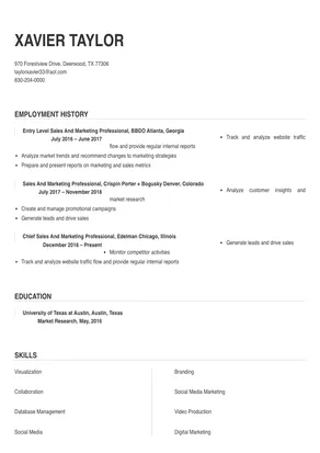sales and marketing professional