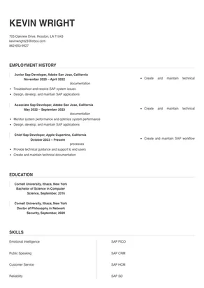 sap developer
