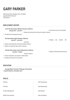 sas data analyst