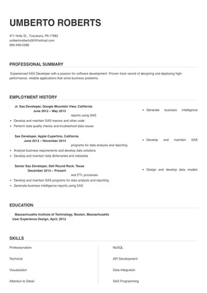 sas developer