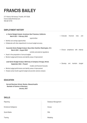 senior budget analyst