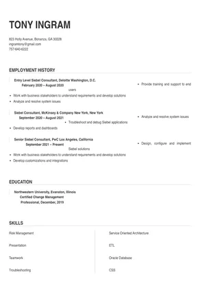 siebel consultant