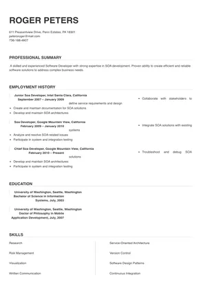 soa developer