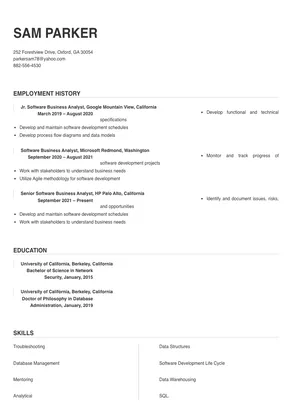 software business analyst