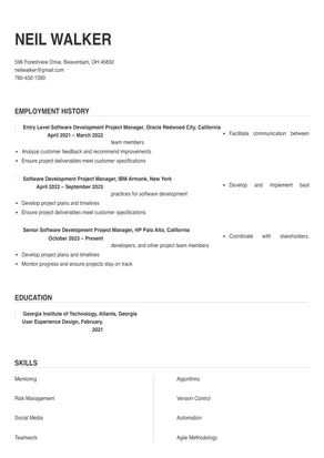 software development project manager
