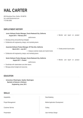 software product manager