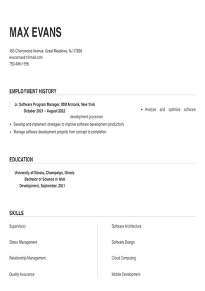 software program manager