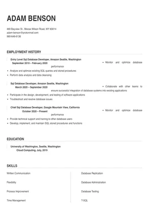 sql database developer
