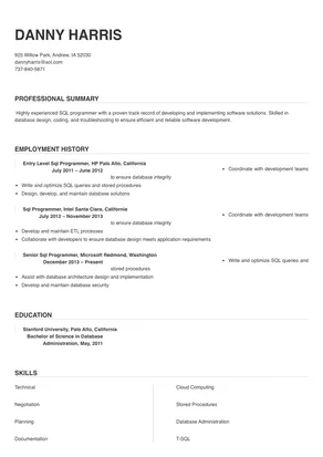 sql programmer