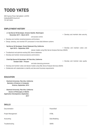 sql server bi developer